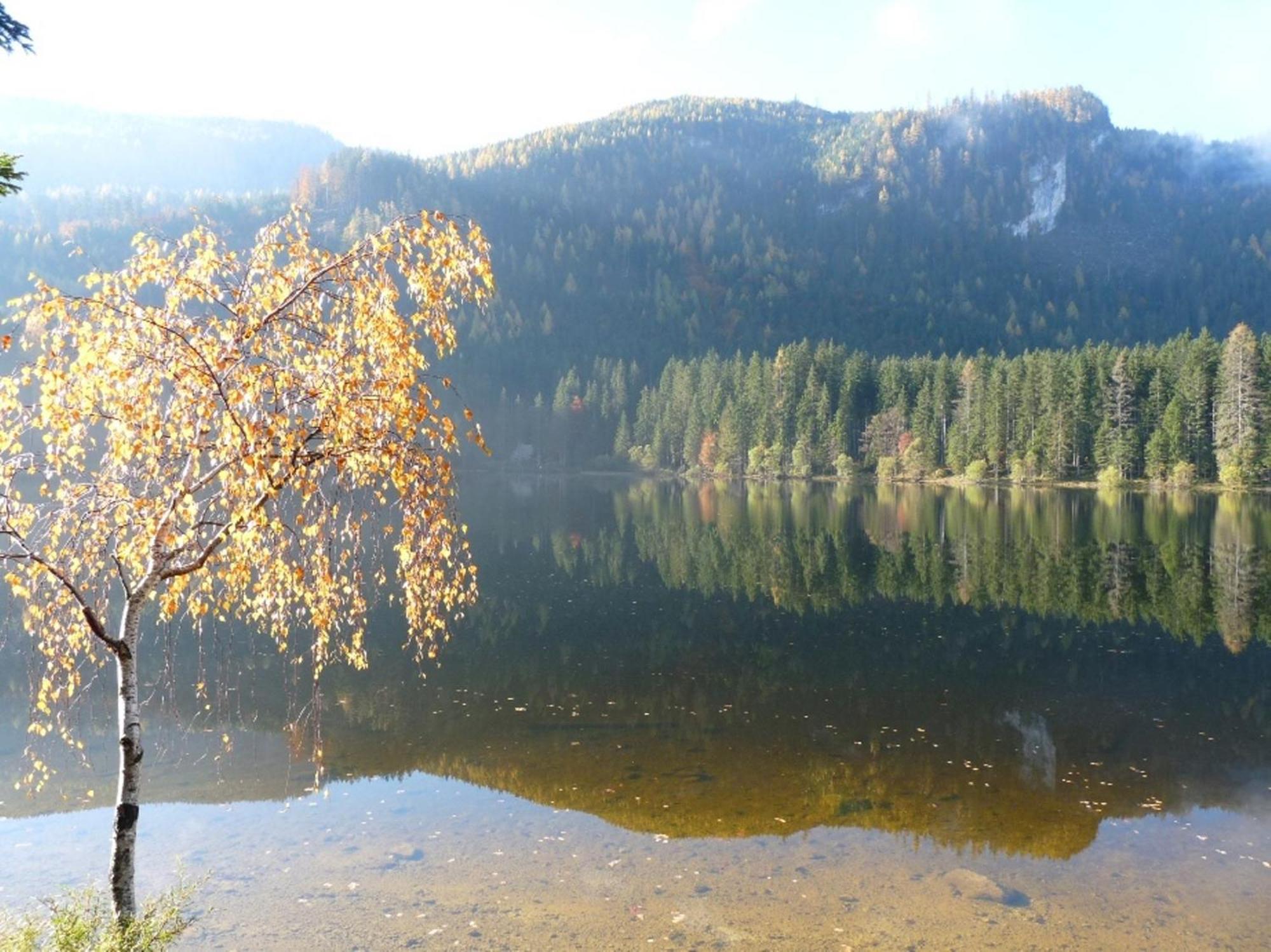 Ferienwohnung Neuper Bad Mitterndorf Exteriör bild